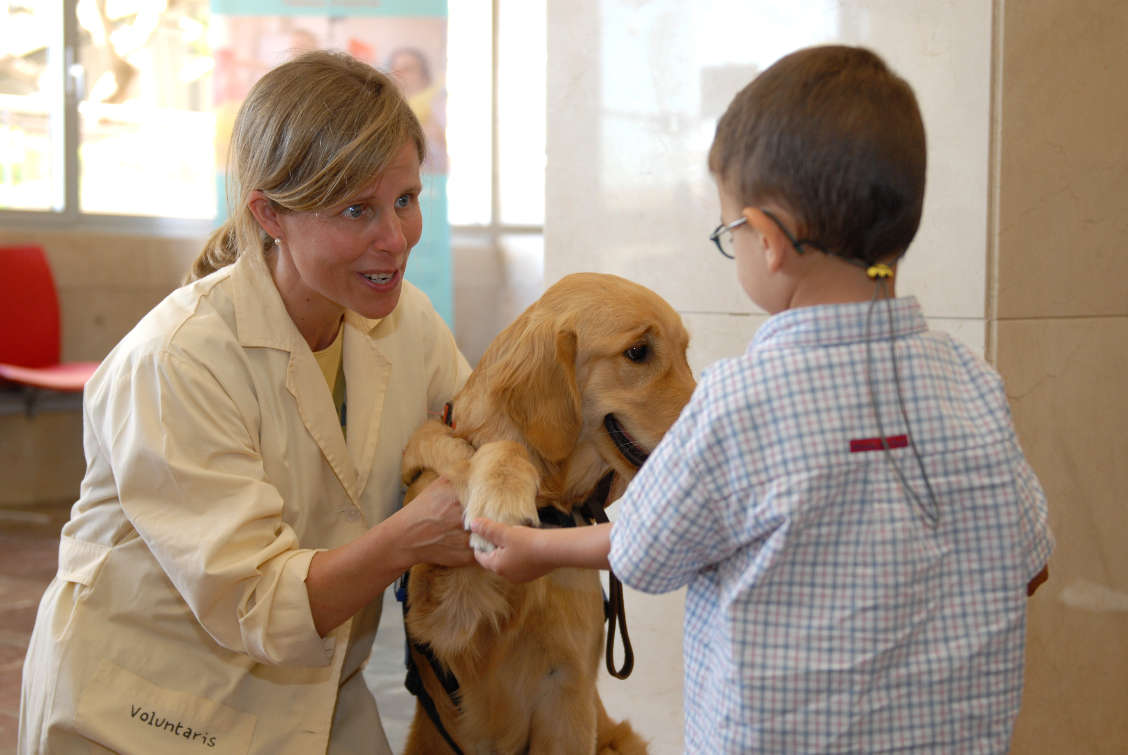 Terapia canina perros que ayudan a